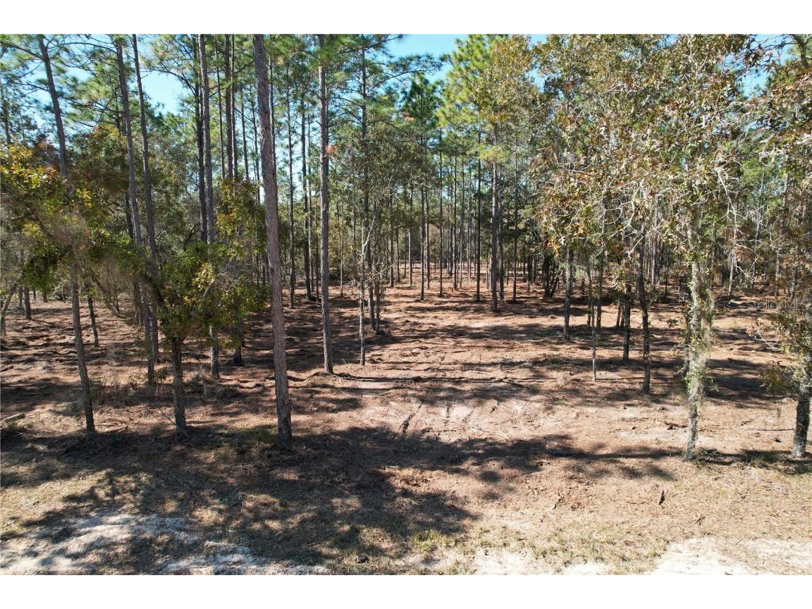 93rd Terrace Archer FL 32618 O6363163 image5