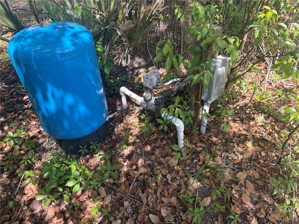 95th Street Anthony FL 32617 O6296905 image3