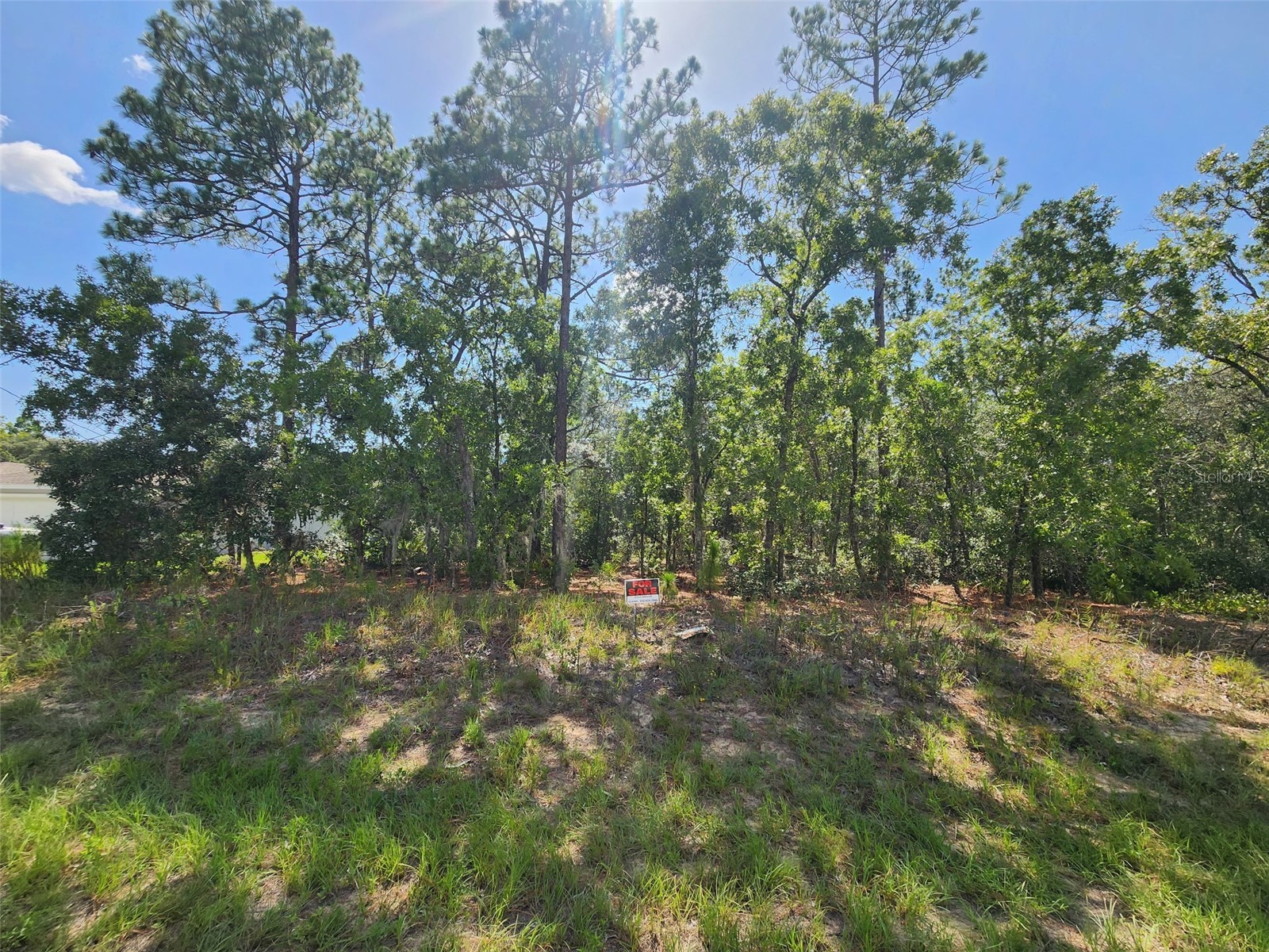 9712 N Lovell Dr Dunnellon FL 34433 OM729030 image2