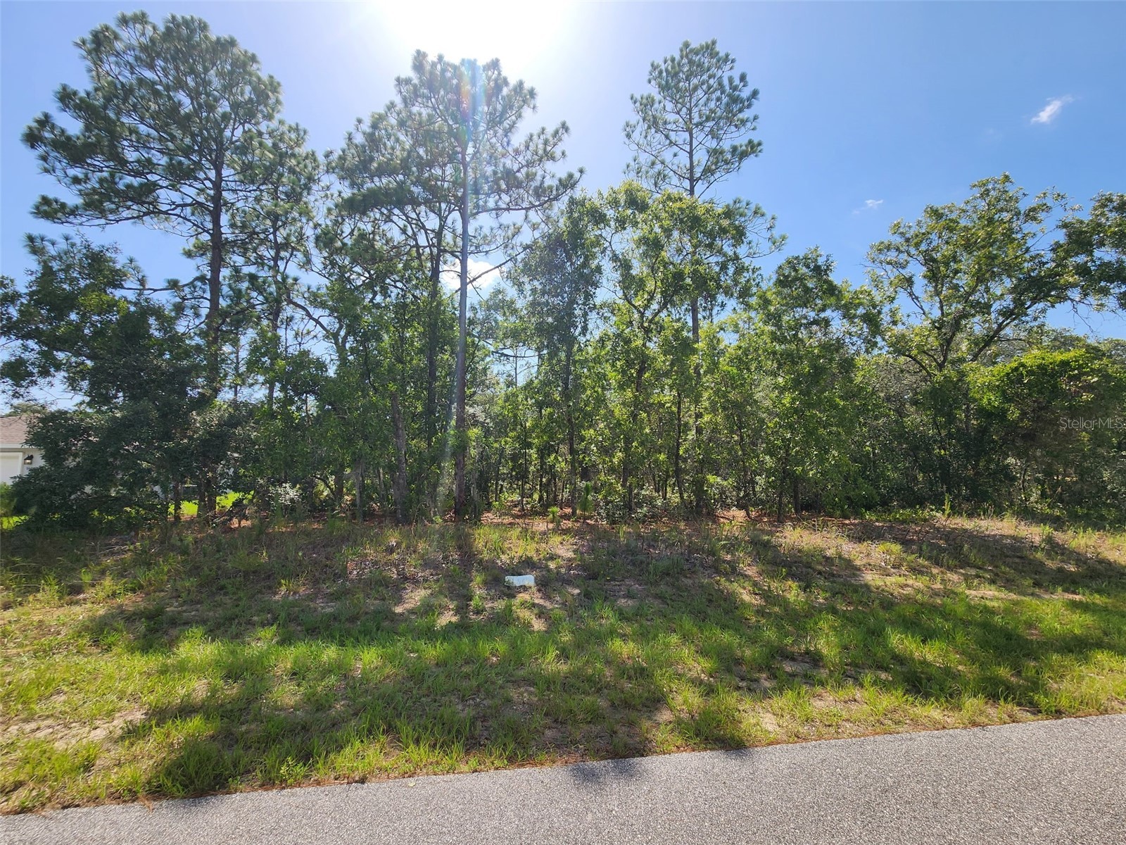 9712 N Lovell Dr Dunnellon FL 34433 OM729030 image3