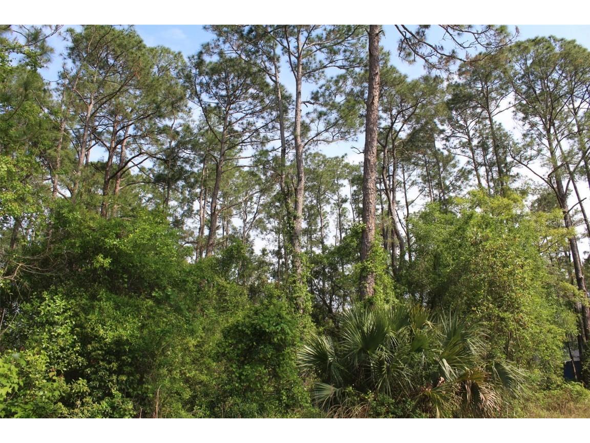 9th Avenue Deland FL 32724 V4923764 image1