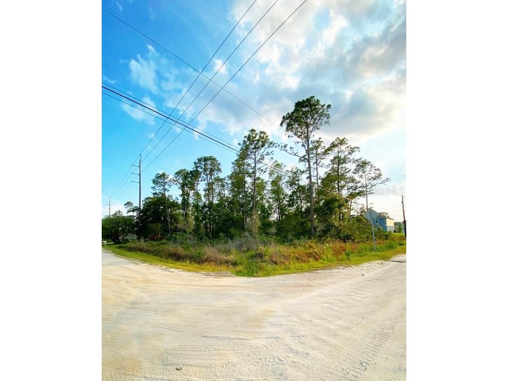 9th Avenue Deland FL 32724 V4930169 image1