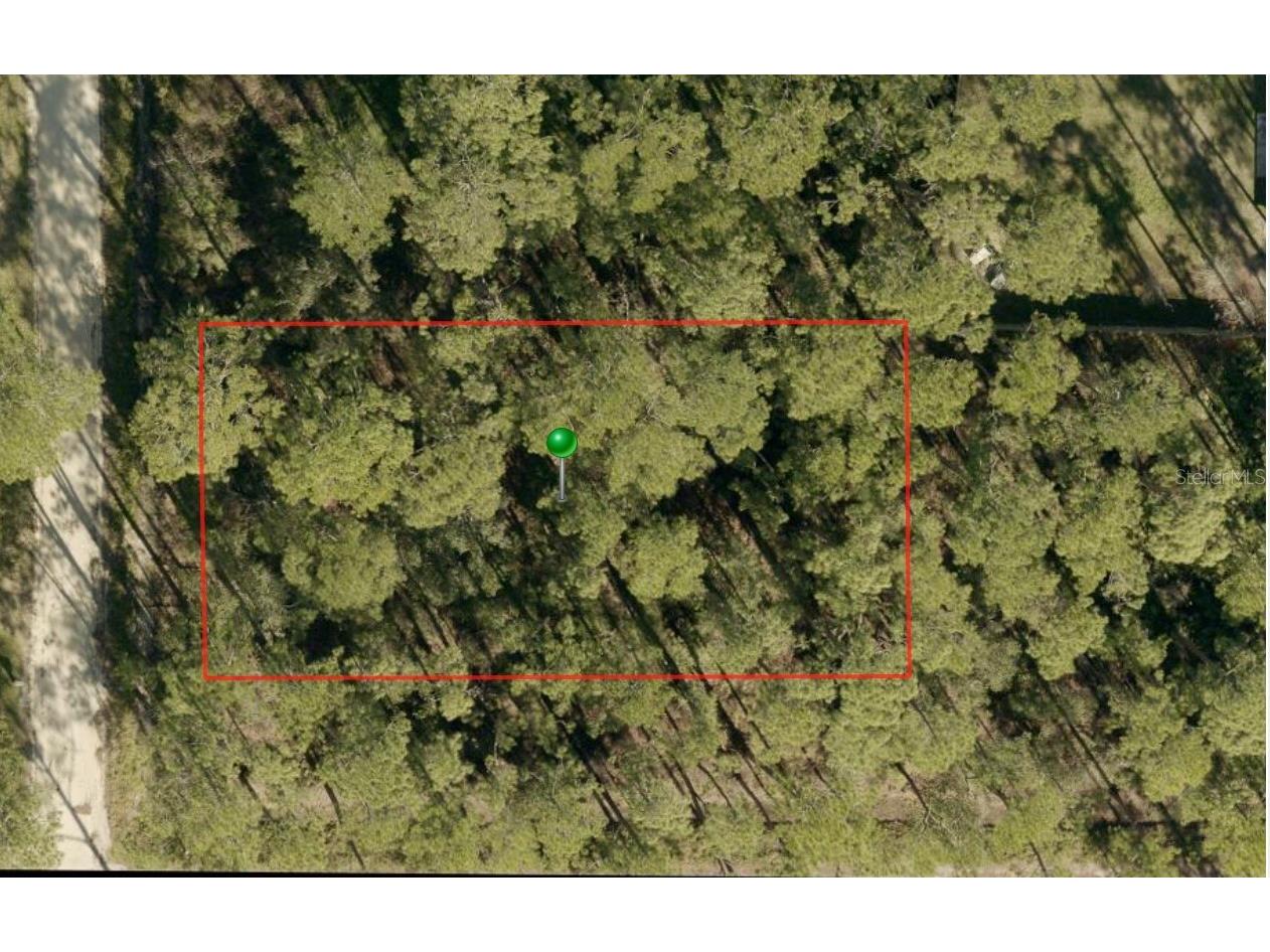 9th Avenue Deland FL 32724 O6385790 image1