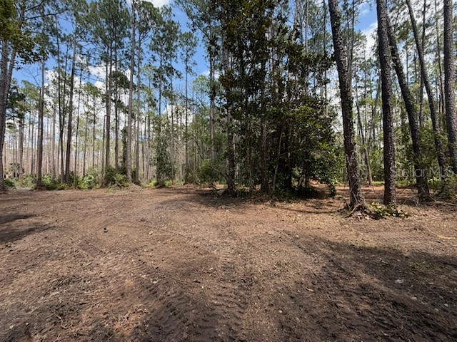9th Avenue Deland FL 32724 O6423706 image3