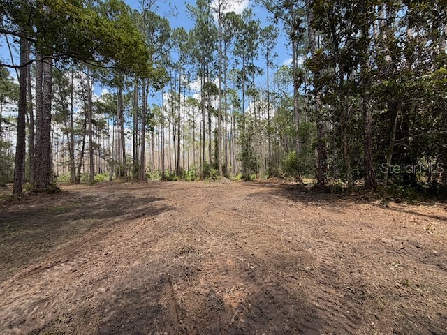 9th Avenue Deland FL 32724 O6423706 image4