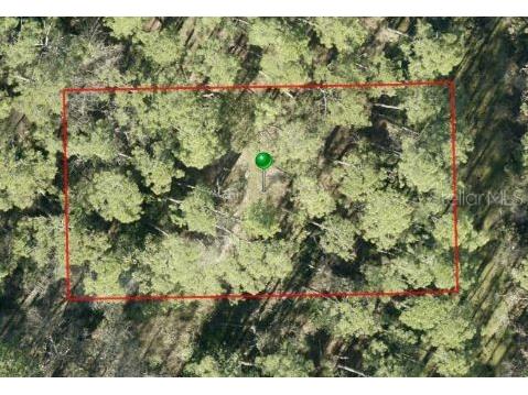 9th Avenue Deland FL 32724 O6423727 image1