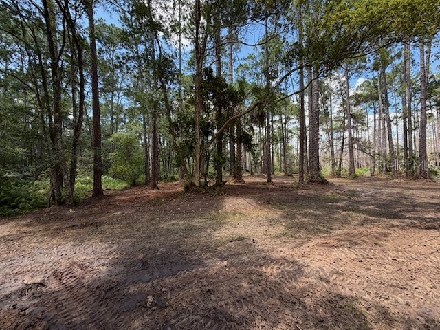 9th Avenue Deland FL 32724 O6423727 image4