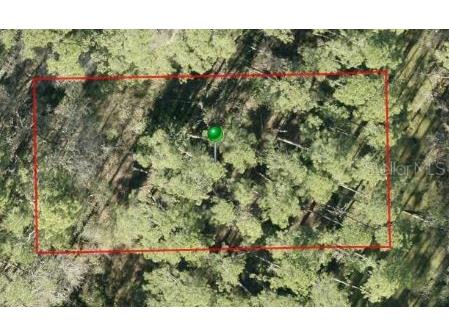 9th Avenue Deland FL 32724 O6423742 image1