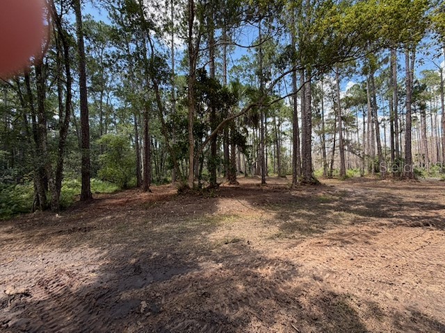 9th Avenue Deland FL 32724 O6423742 image3