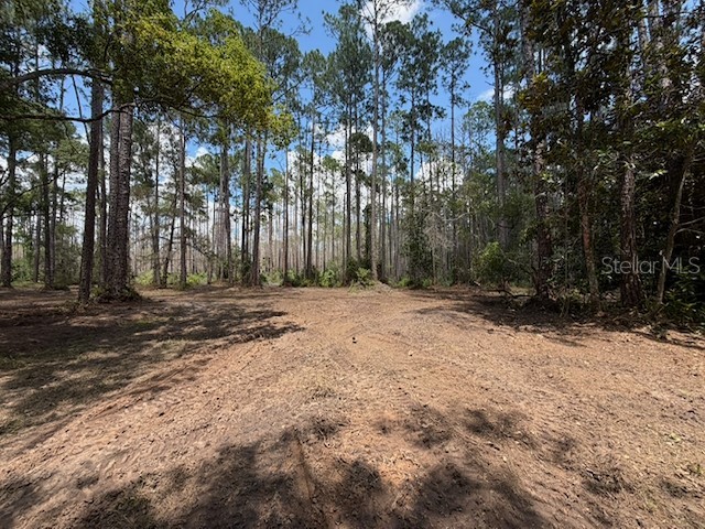 9th Avenue Deland FL 32724 O6423742 image4