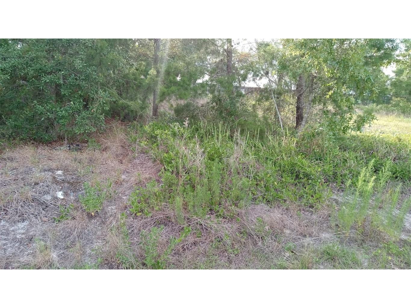 Abair Street Hudson FL 34667 T3377290 image1