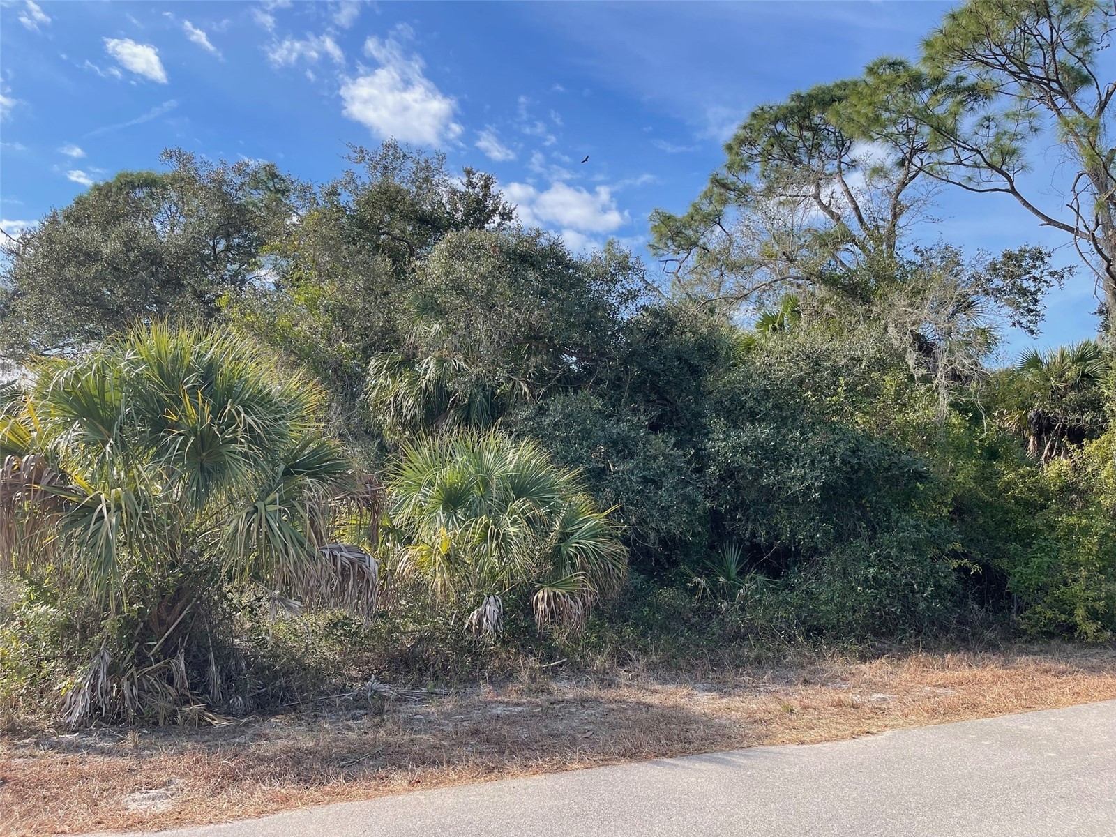 Abate Avenue #LOT 10 North Port FL 34288 A4680331 image1