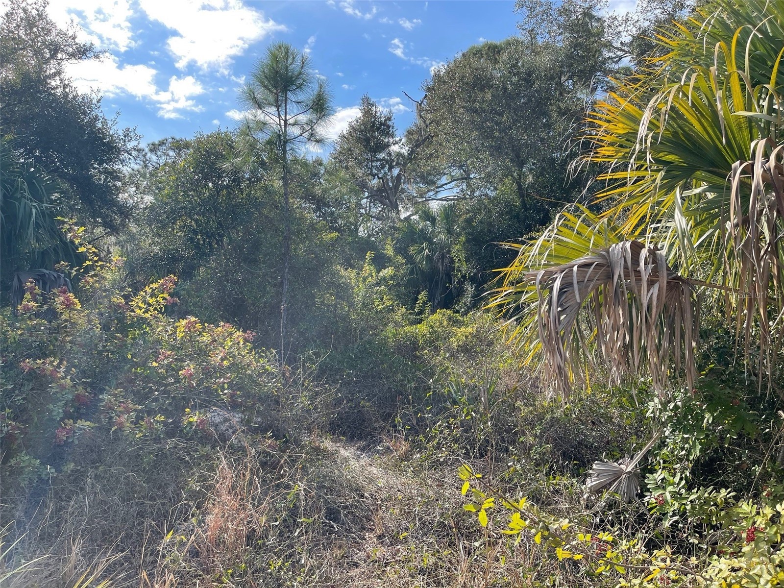 Abate Avenue #LOT 10 North Port FL 34288 A4680331 image2