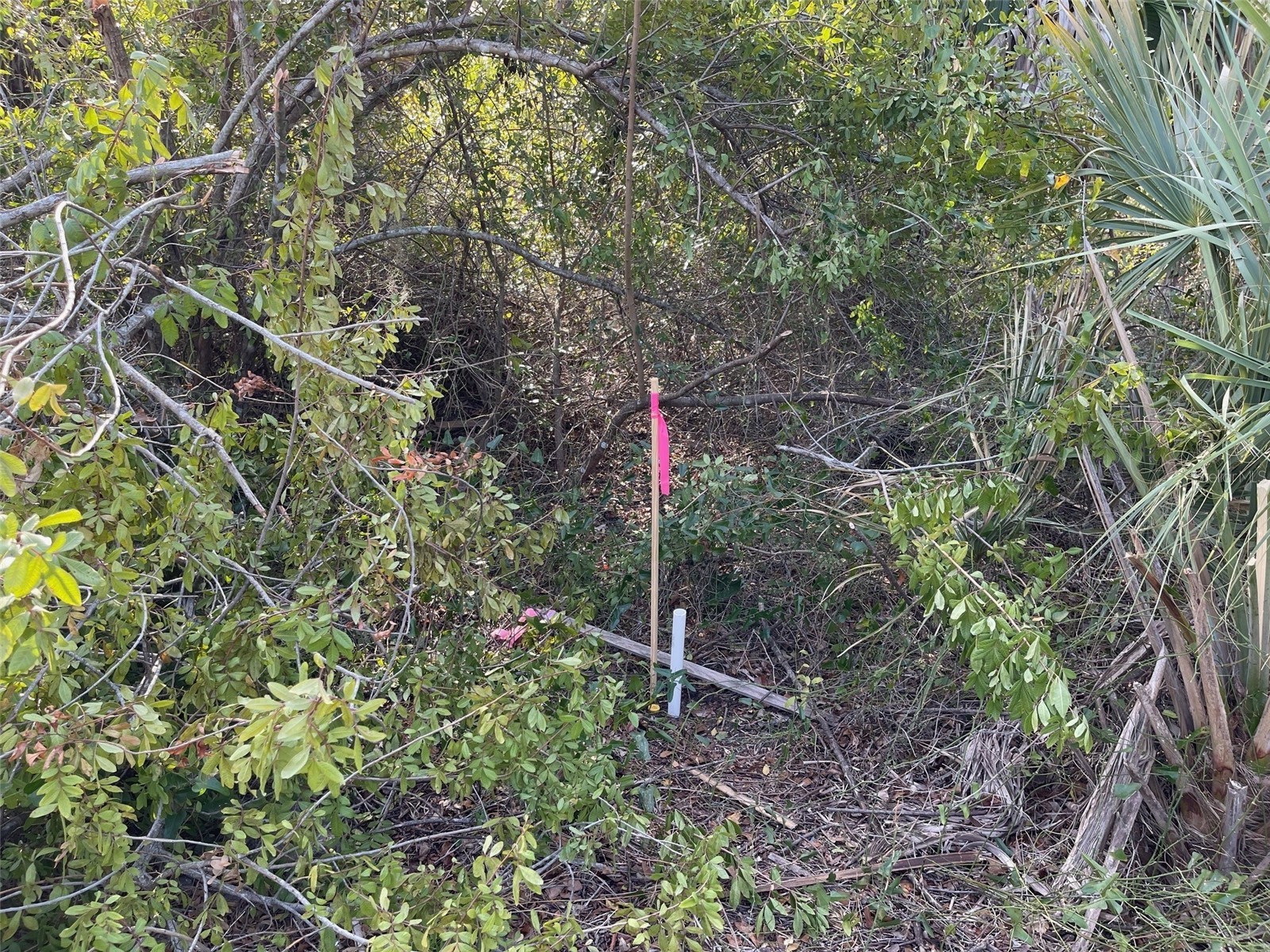 Abate Avenue #LOT 10 North Port FL 34288 A4680331 image3