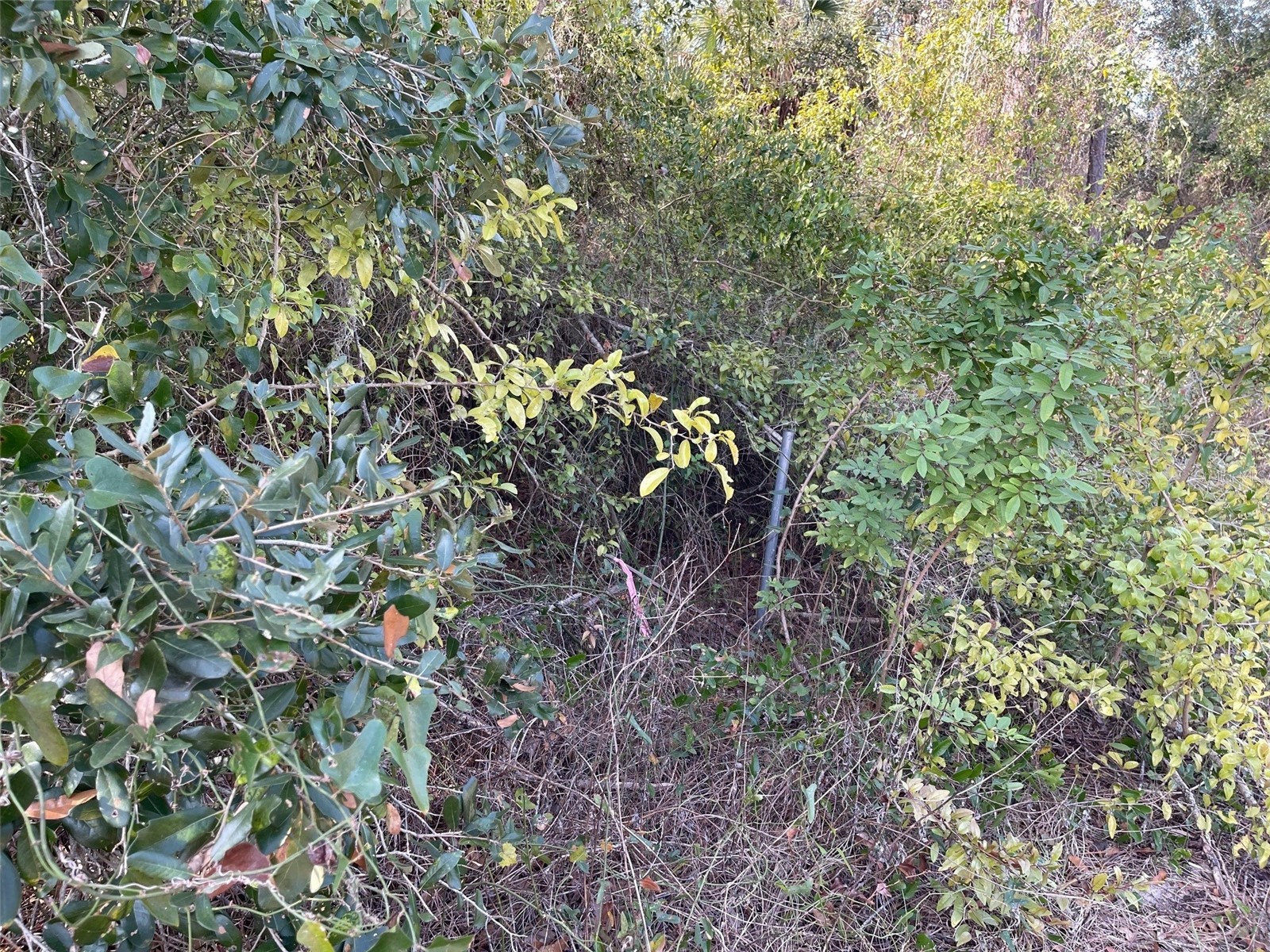 Abate Avenue #LOT 10 North Port FL 34288 A4680331 image4