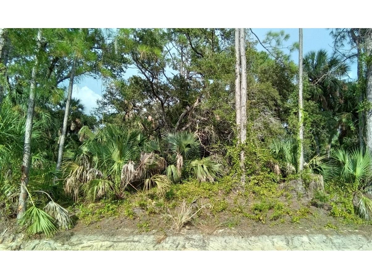 Abbeville Road North Port FL 34288 O6140848 image1