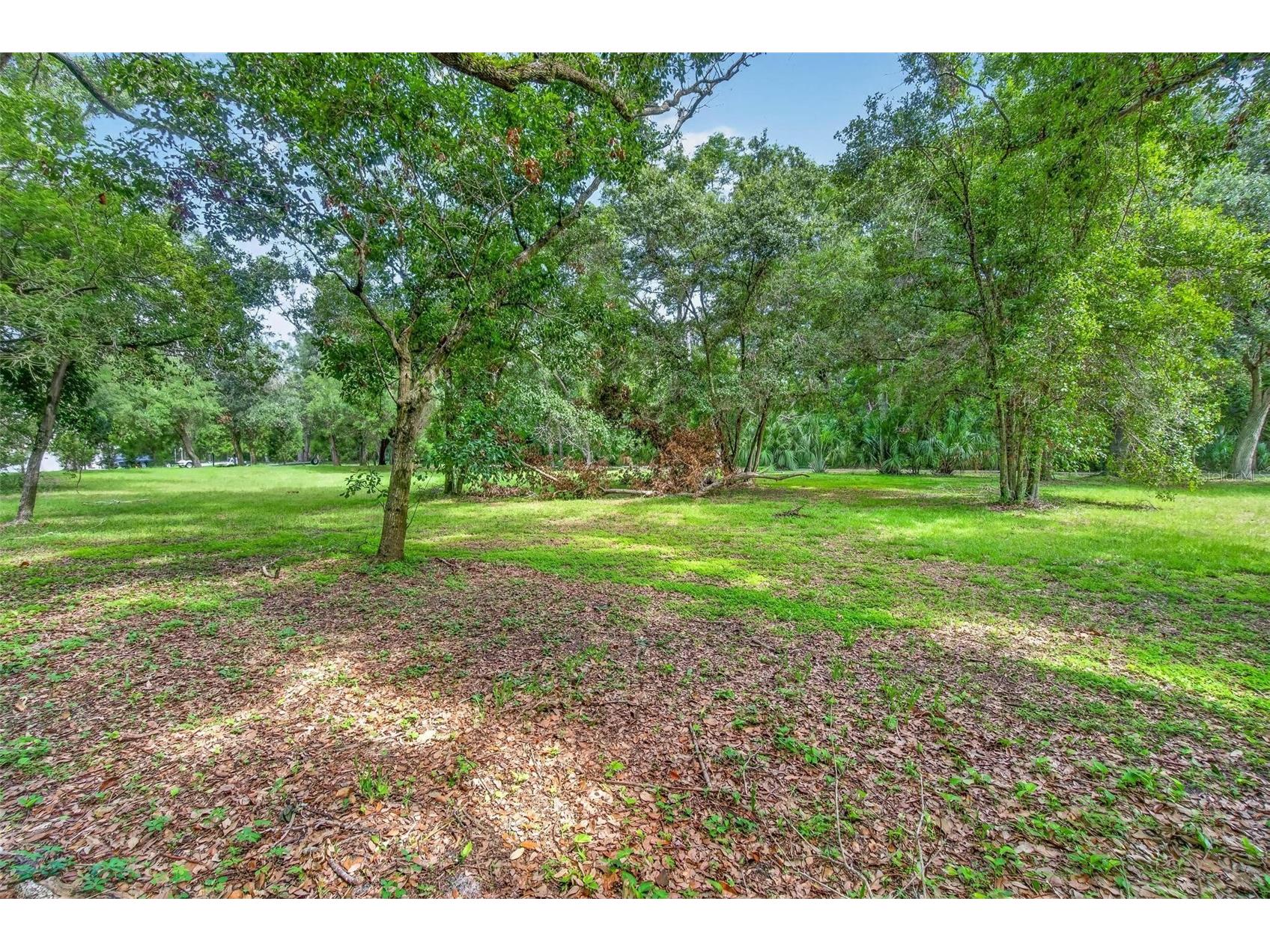 Abbey Lake Road Clearwater FL 33759 TB8531720 image10
