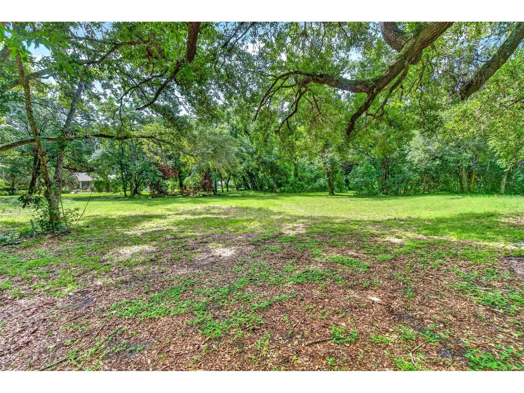 Abbey Lake Road Clearwater FL 33759 TB8531720 image7
