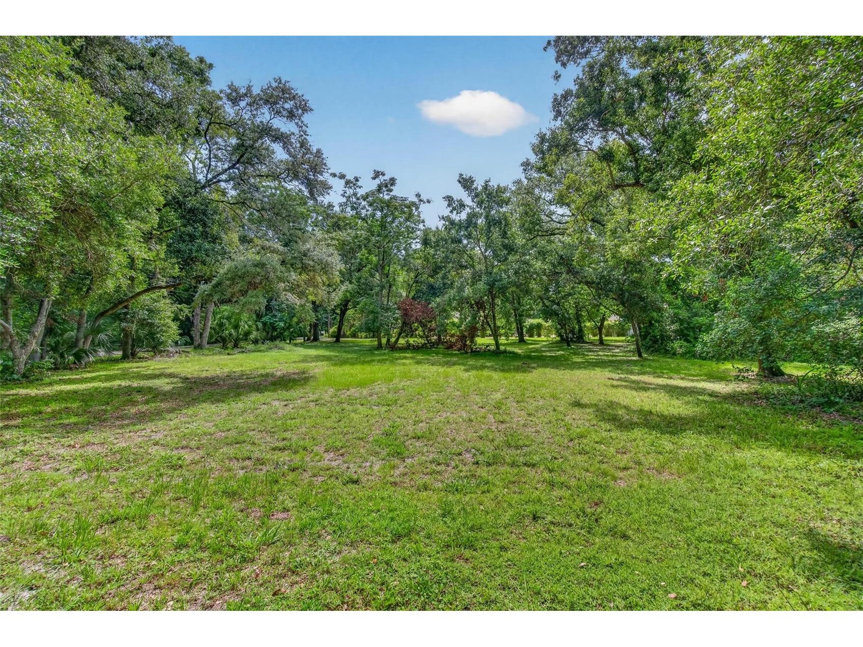 Abbey Lake Road Clearwater FL 33759 TB8531720 image8
