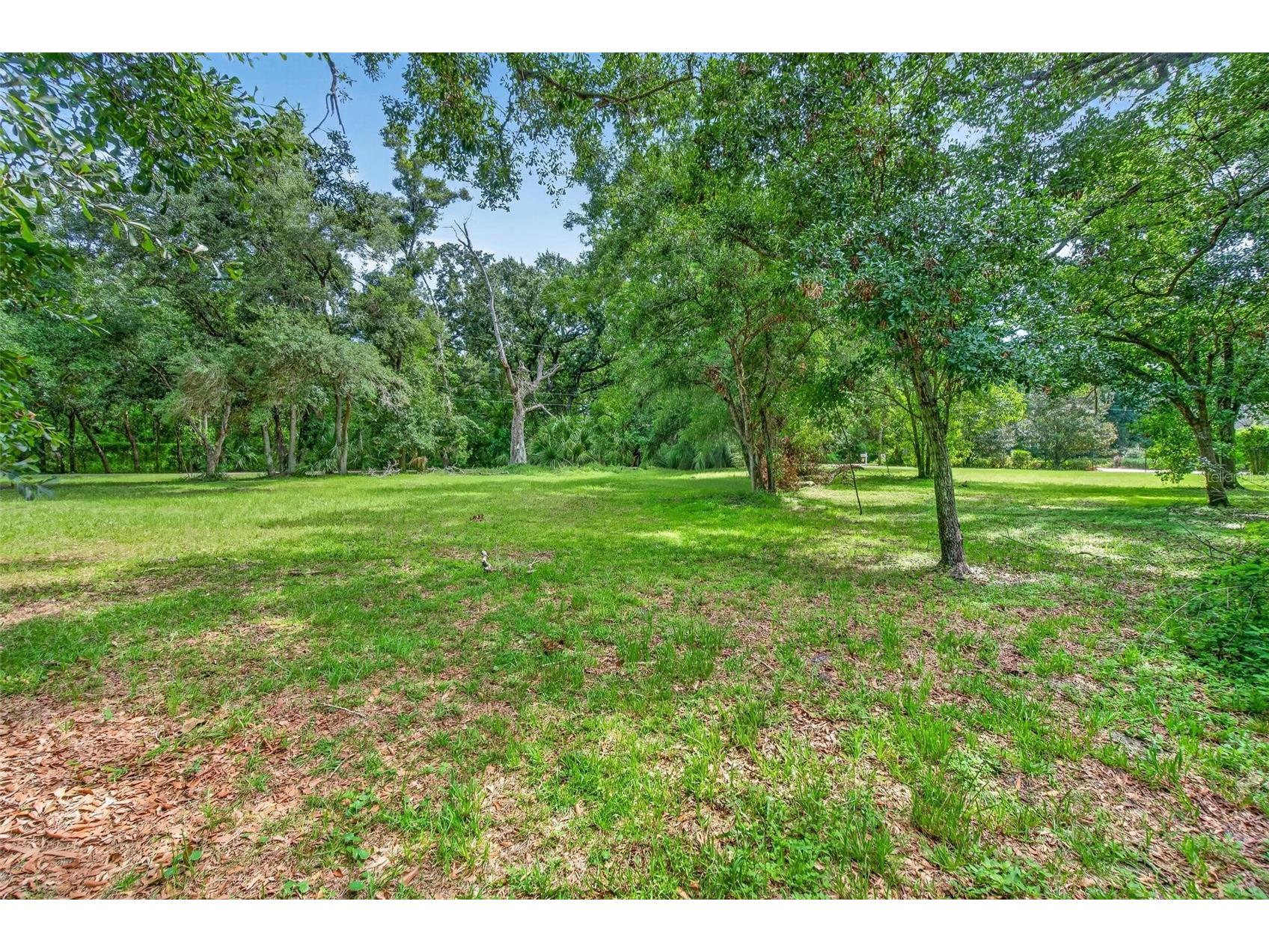 Abbey Lake Road Clearwater FL 33759 TB8531720 image9