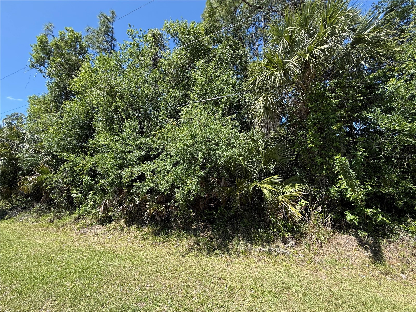 Abcor Road North Port FL 34286 N6143887 image2