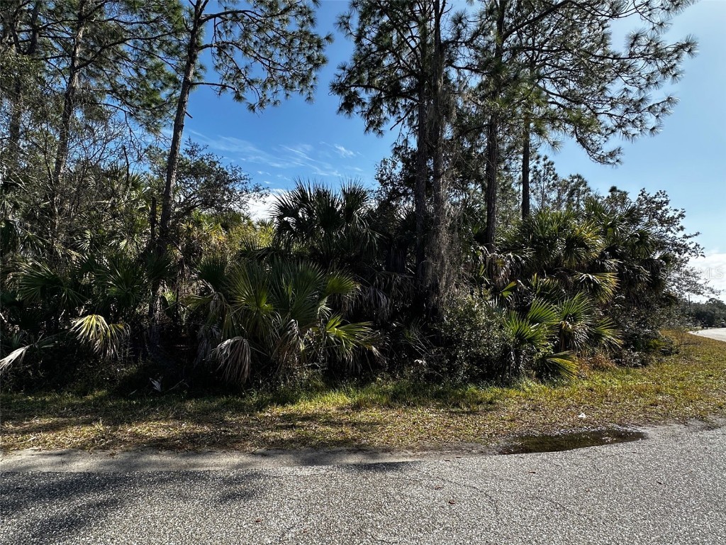 Abdella (Corner Lot) Lane North Port FL 34291 A4642927 image1