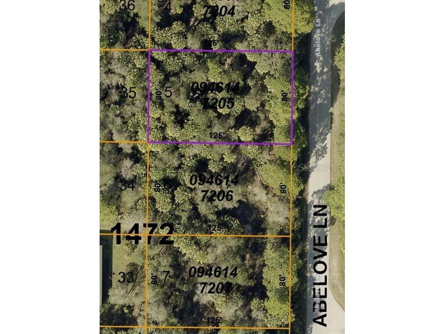 Abelove Lane North Port FL 34291 N6127861 image1