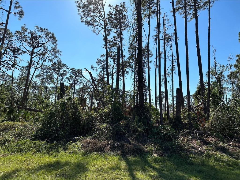 Abernant Avenue North Port FL 34287 C7468763 image1