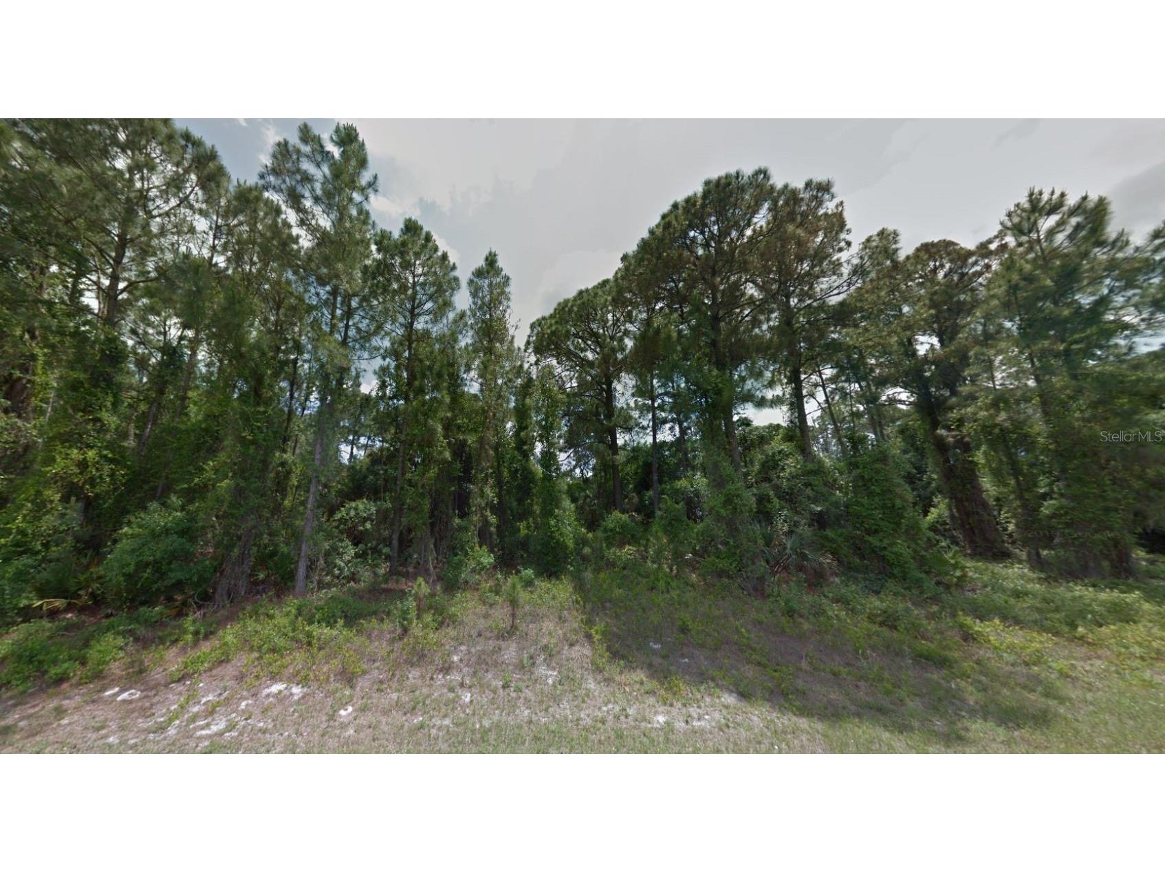 Abernant Avenue North Port FL 34287 D6147574 image3