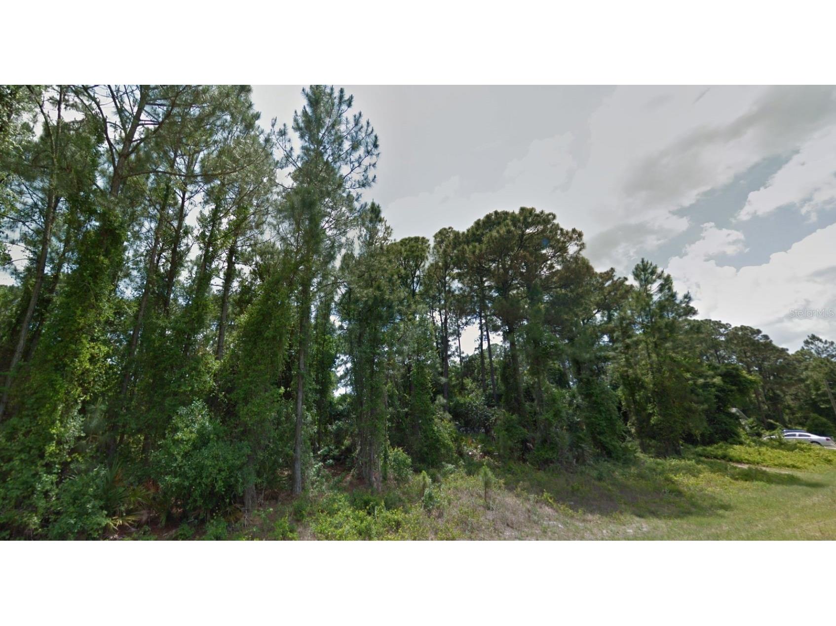 Abernant Avenue North Port FL 34287 D6147574 image4