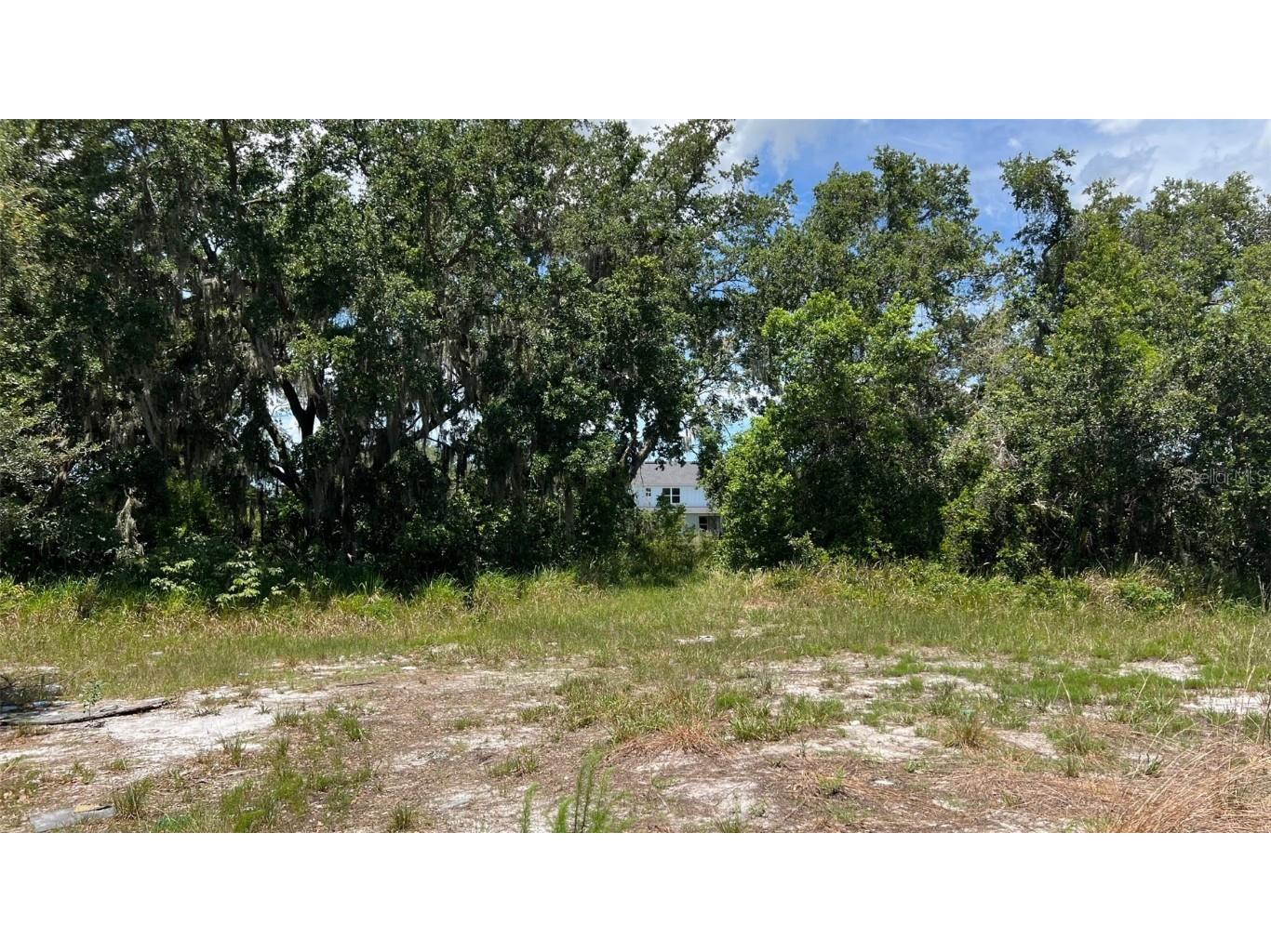 Abundant Life Drive Auburndale FL 33823 P4935183 image12