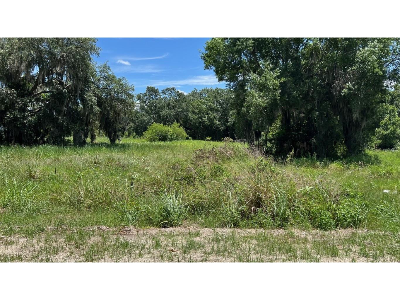 Abundant Life Drive Auburndale FL 33823 P4935183 image17