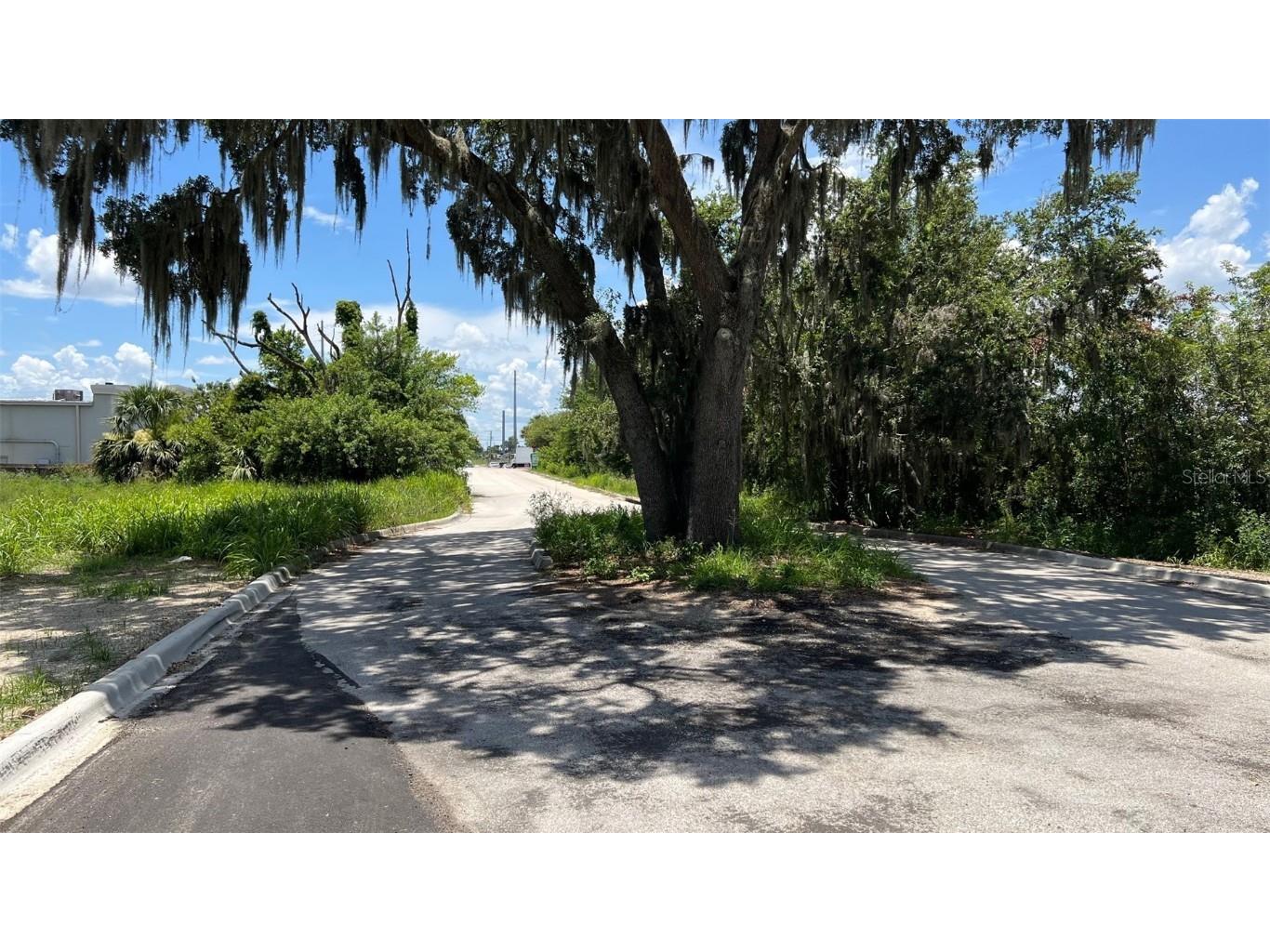 Abundant Life Drive Auburndale FL 33823 P4935183 image18