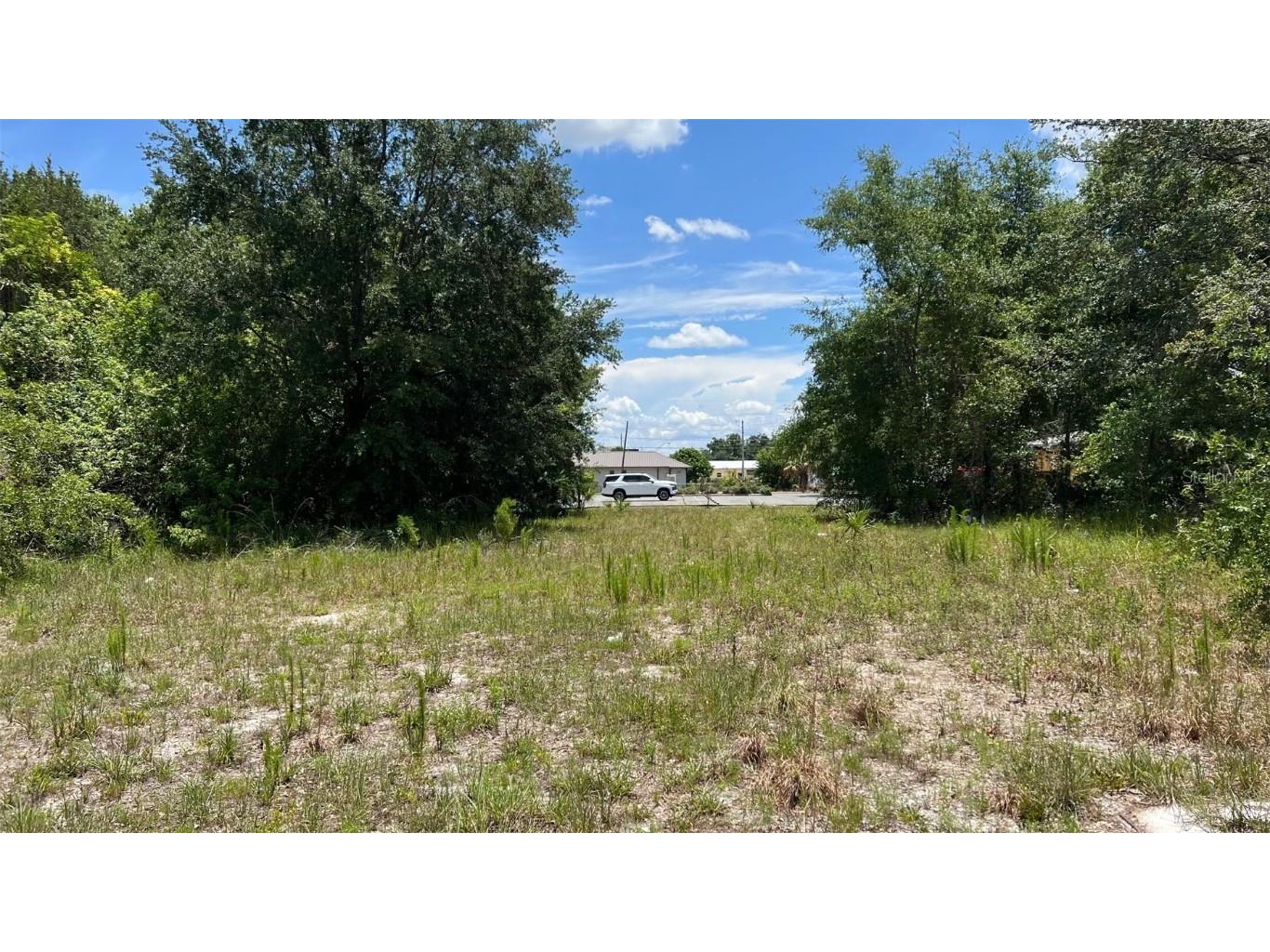 Abundant Life Drive Auburndale FL 33823 P4935183 image6