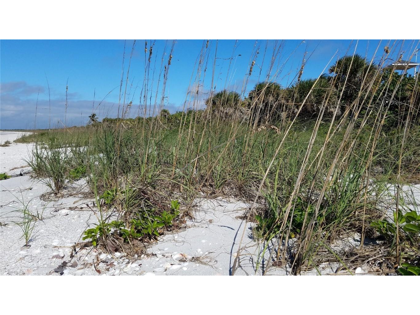 Access Undetermined Bokeelia FL 33922 C7458551 image8