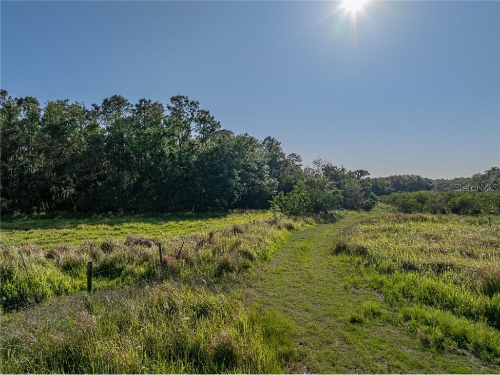 Acuff Road Fort Meade FL 33841 TB8377799 image4