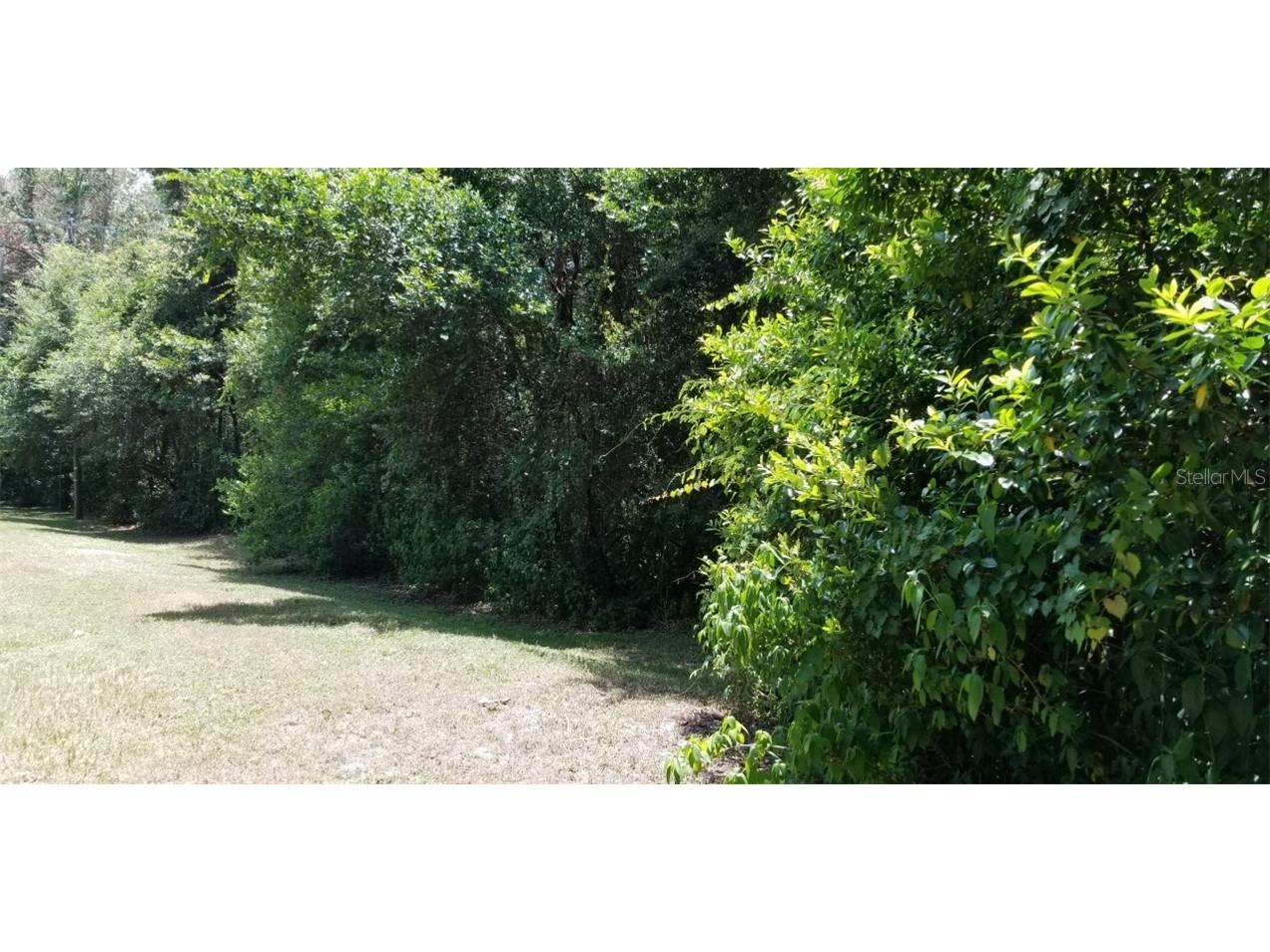 Address Not Available E Brandon FL 33511 T3253874 image1