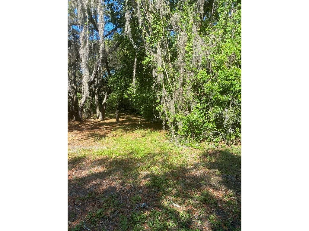 Adler Street New Port Richey FL 34654 T3529430 image1