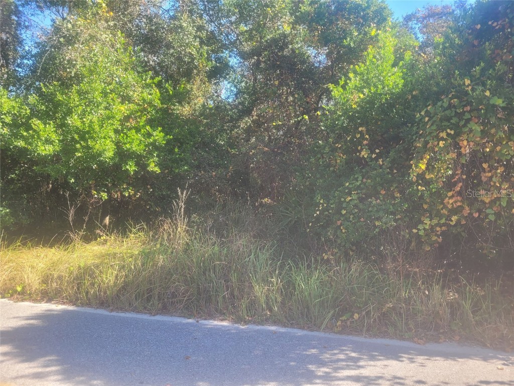 Adler Street New Port Richey FL 34654 W7880930 image3