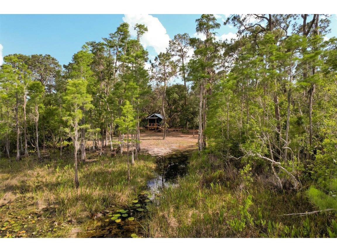 Adonijah Way Clermont FL 34714 - Pretty Lake G5096057 image1