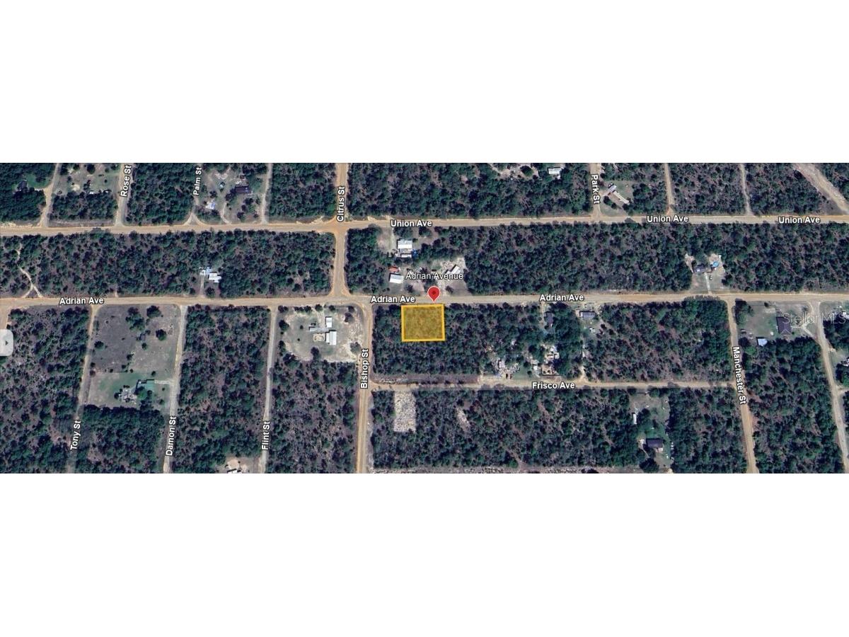 Adrian Avenue Interlachen FL 32148 A4628549 image1
