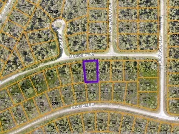 Afterglow Street North Port FL 34288 A4688677 image4