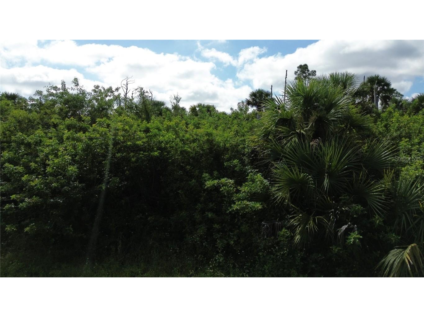 Afterglow Street North Port FL 34288 C7515565 image2