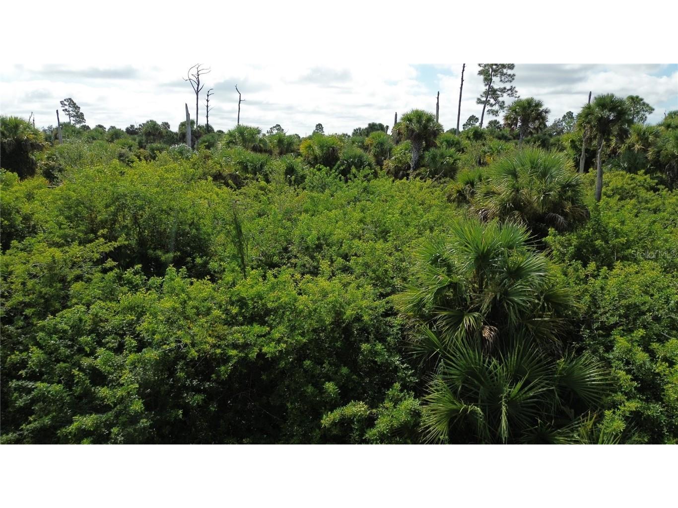 Afterglow Street North Port FL 34288 C7515565 image3