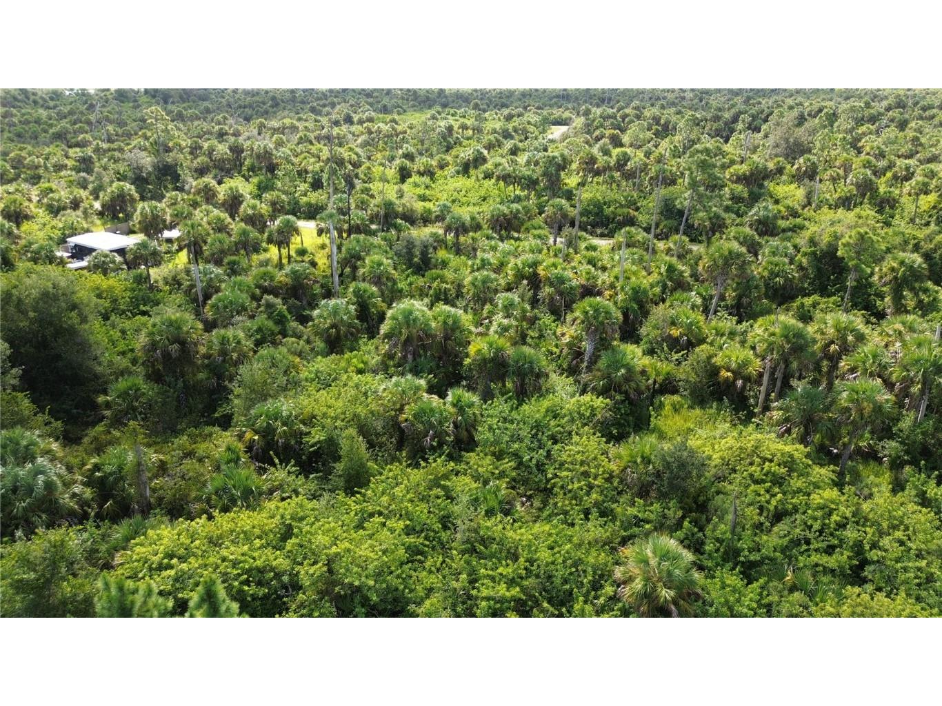 Afterglow Street North Port FL 34288 C7515565 image6