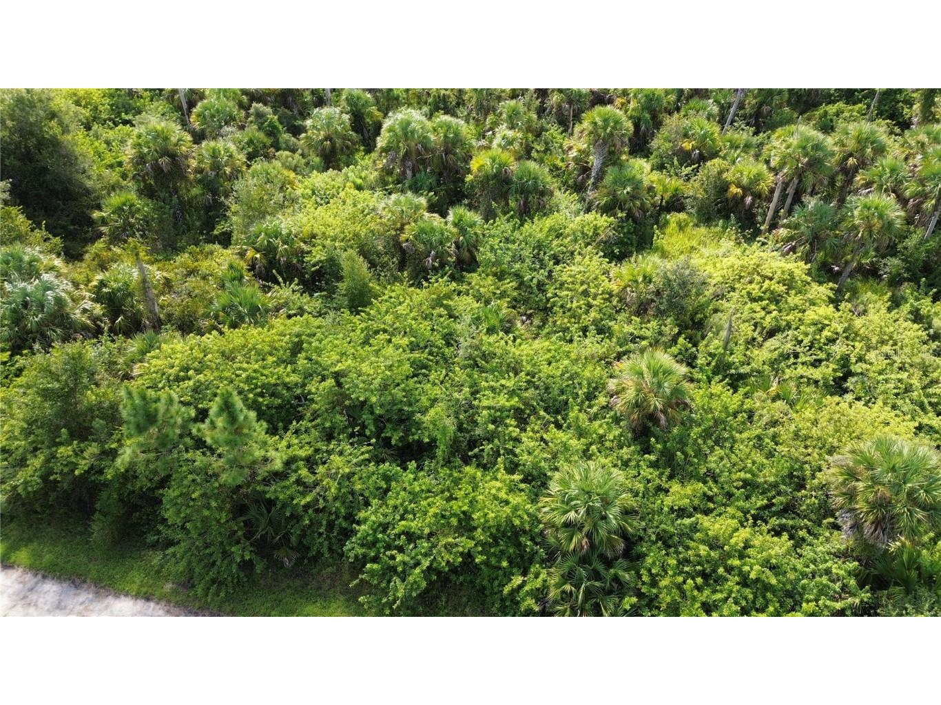 Afterglow Street North Port FL 34288 C7515565 image7