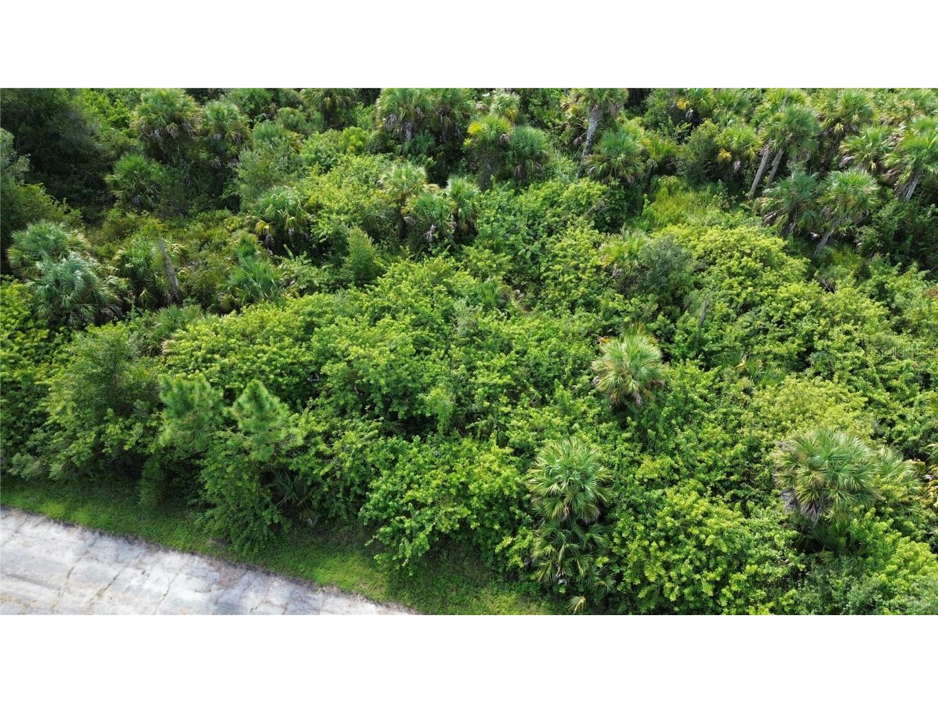 Afterglow Street North Port FL 34288 C7515565 image8