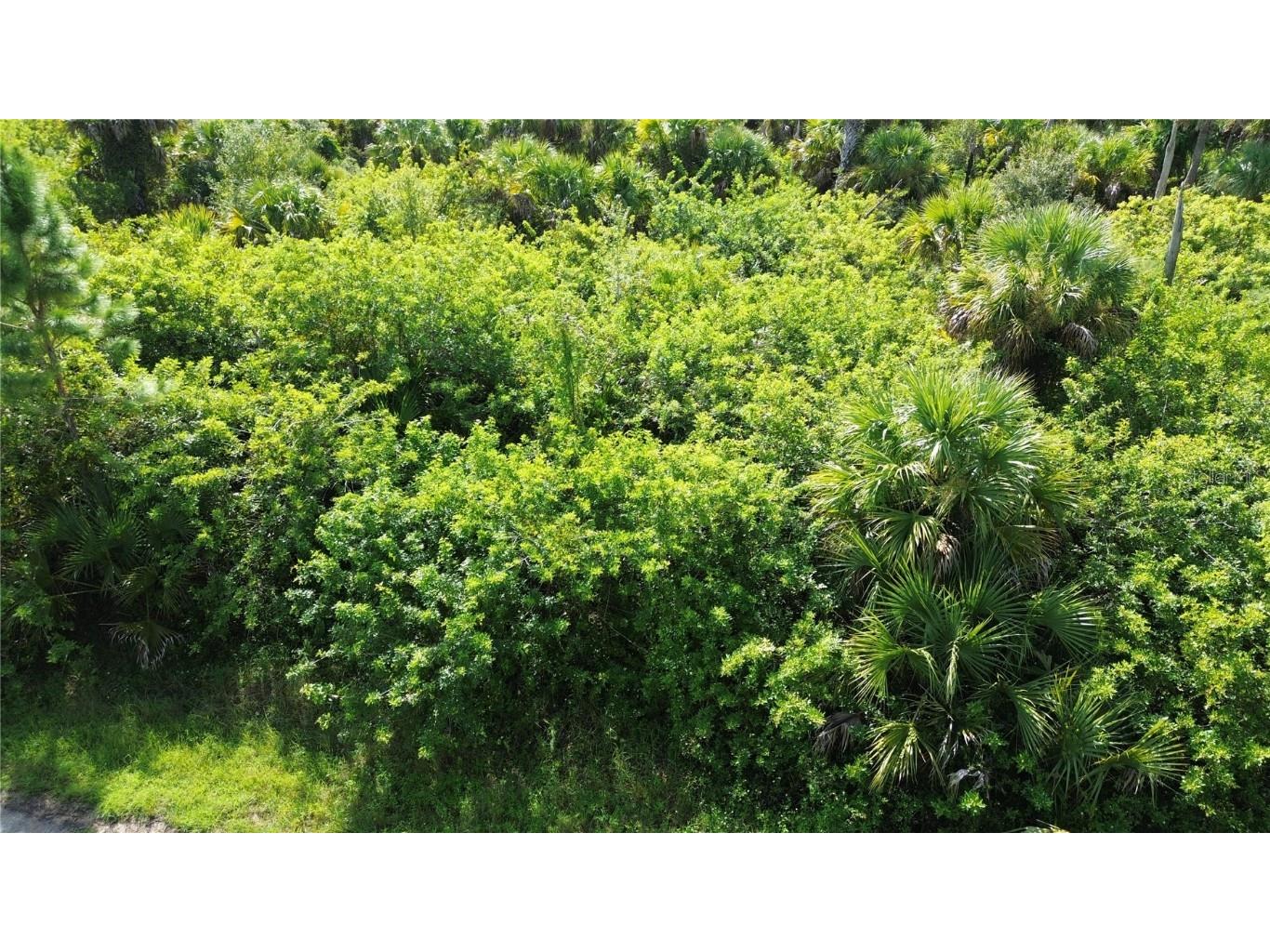 Afterglow Street North Port FL 34288 C7515565 image9