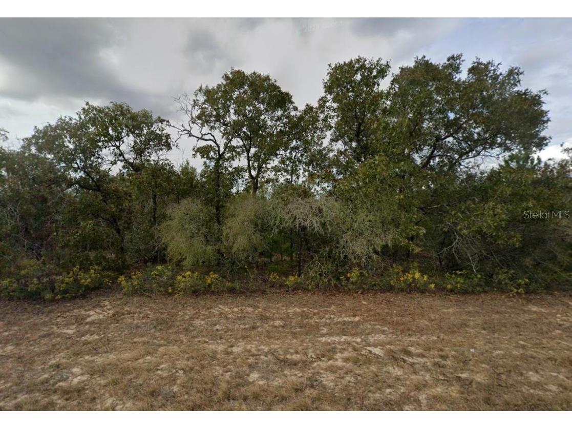 Airmont Drive Chipley FL 32428 TB8424507 image1