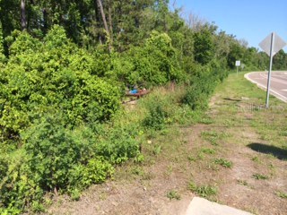 Airport Boulevard Sanford FL 32771 O5356334 image1